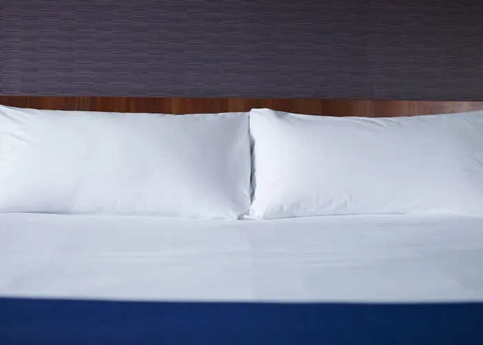 Express - Odysseum By Ihg Hotel Montpellier